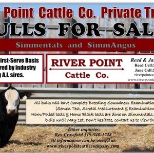 Meet your Posher, Jane